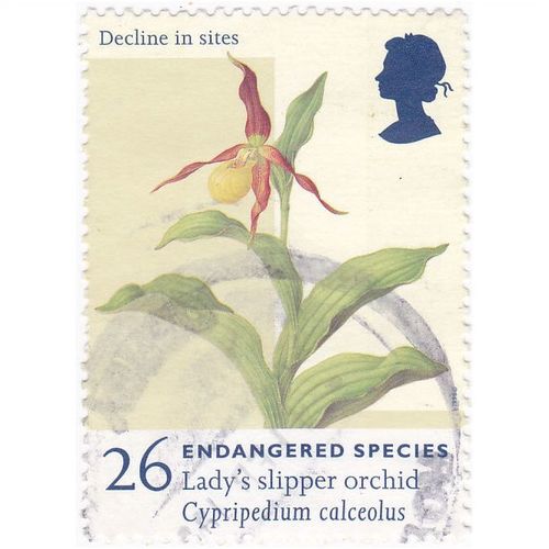 Great Britain 1998 Endangered Species 26p Ladys Slipper Orchid Used SG2016 Stamp