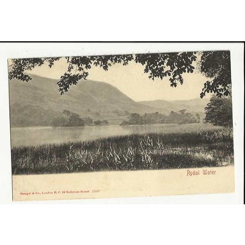 Westmorland RYDAL WATER Postcard by Stengel (17237)