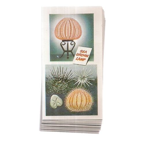THE SEA-OUR OTHER WORLD.. Brooke Bond Tea Cards part set of 39 loose cards vgc =