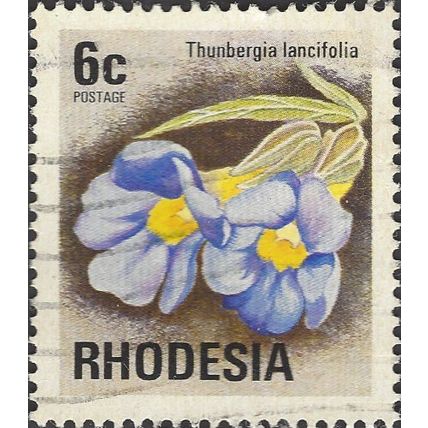 RHODESIA, FLOWERS, Thunbergia lancifolia, brown 1974, 6c, #3