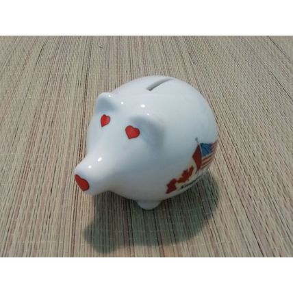 Piggy Bank Niagara Falls Coin Bank 10cm Across 8cm High