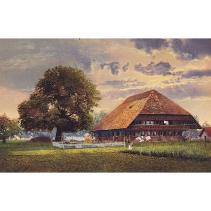 Berner Bauernhaus Kunstmotive no 8023 Swiss Postcard