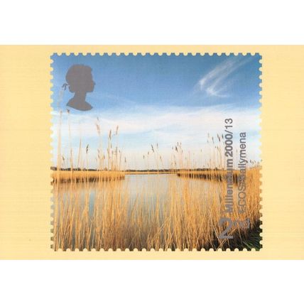 Ballymena Awareness Green Environment Rare FDC Frank Postcard