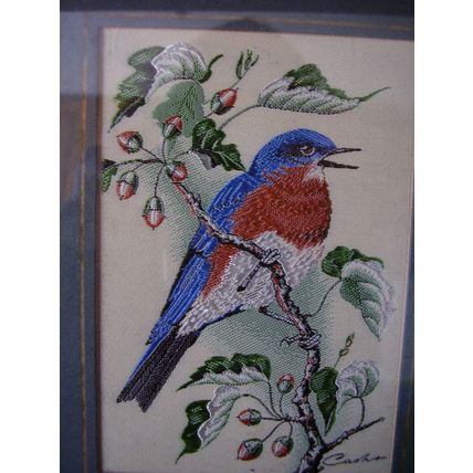 Vintage J & J Cash Bluebird Silk Embroidered Framed Picture signed Bird Portrait