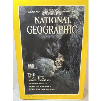 National Geographic Magazine January 1985 KoKo's Kitten - Vintage Collectable