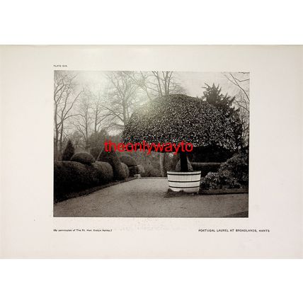 ENTRANCE TO THE ORANGERY, BROADLANDS, HANTS, (More, Reverse), Book Illustration