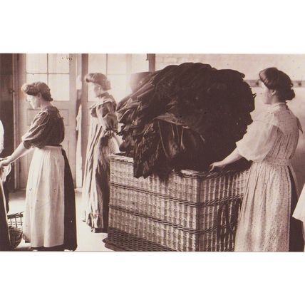 Postcard Dyeing Cloths 1910 Eastmans Laundry Clothes Garment Basket - Nostalgia