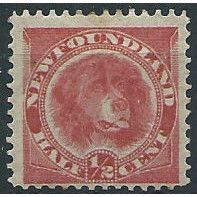 Newfoundland 1887 SG49 1/2c Rose-Red Mounted Mint ....