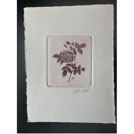 Belgique ? COB ? Epreuve d'artiste 1er jour FDC Fleur Rose Pierre-Joseph Redouté
