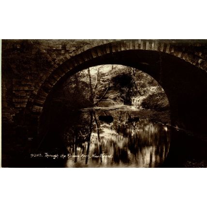 Through The Roman Arch, New Forest, Hampshire, RP Sweetman, Postcard, 1938