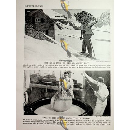 Swiss Cheese (Alpine Horn On Back), Book Illustration, c1920