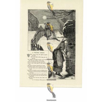 Winter Lesson, Poetry By J T Burton-Wollaston, Book Illustration (Print), 1884