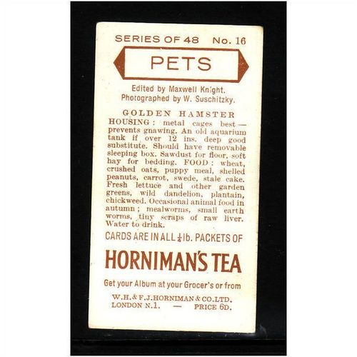HORNIMANS PETS GOLDEN HAMSTER No 16 Mint