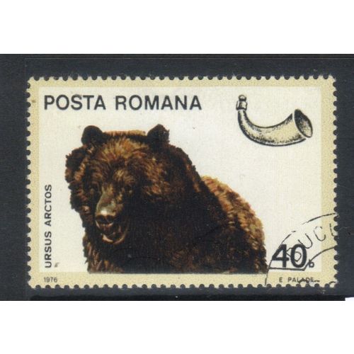 ROMANIA 1976 ENDANGERED ANIMALS 40B BROWN BEAR USED / CTO