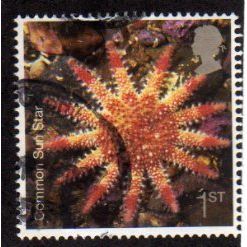Great Britain 2007 Sea Life 1st Common Sun Star Used SG2708 Sc2437 postage stamp