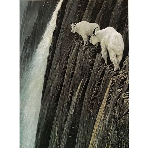 Robert Bateman print MOUNTAIN GOATS vintage animal Poster Wall Art Decor print