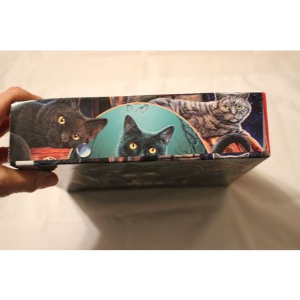 NIGHT SPIRIT 550 PIECE PUZZLE SEALED CATS