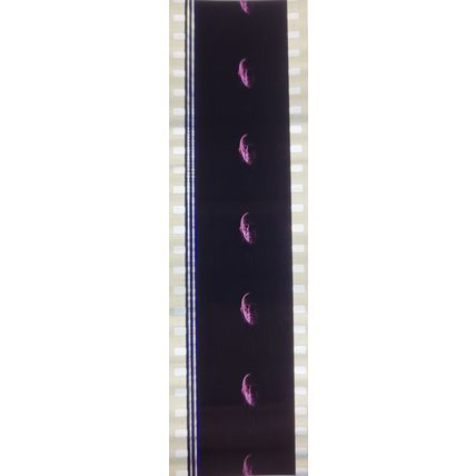 Bram Stokers Dracula. Pk GEB - A015o . 1 STRIP OF 5 - 35MM FILM CELLS.