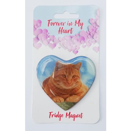 CAT FRIDGE MAGNETS BLACK, BLACK & WHITE, GINGER OR TABBY CAT 3D & hand finished
