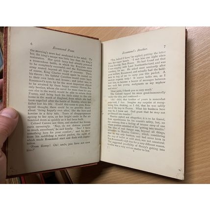 RARE* 1880s MARY & CATHERINE LEE "ROSAMOND FANE" FICTION ANTIQUE BOOK (P4)