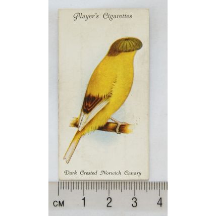 1933 John Player & Sons Aviary & Cage Birds 2 Dark Crested Norwich Canary