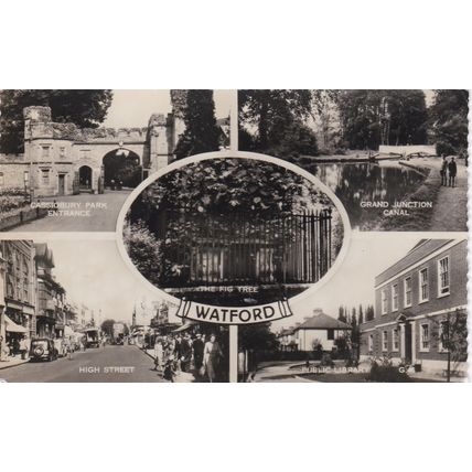 ED 117 WATFORD MULTI VIEW . RP POSTCARD