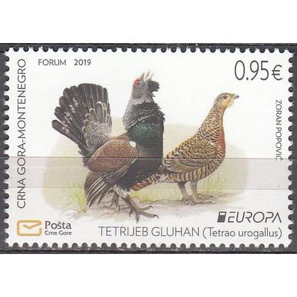 Montenegro 2019 Europa CEPT Oiseau Grand Tétras Neuf **