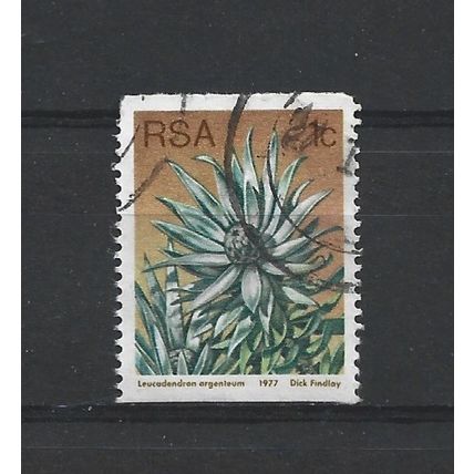 SouthAfrica.SG431 1c Leucadendron Argenteum.Fine Used.Sep25h