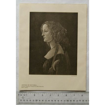 1903 illustration: Portrait by Botticelli