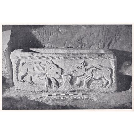 Beth Shearim The Lion Sarcophagus Israel Postcard