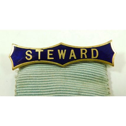 RCTA Royal Commercial Travellers Schools Pinner Steward Enamel Jewel Medal