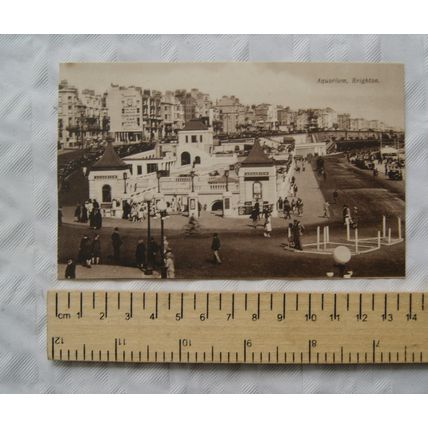 vintage postcard Brighton Aquarium
