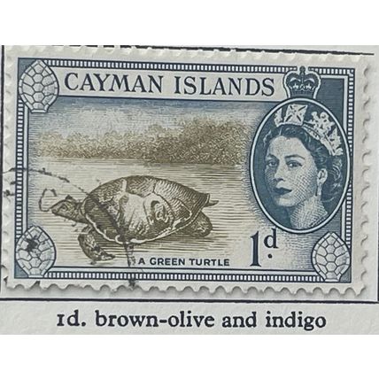 Cayman Islands QEII 1954 1d Brown Olive & Indigo Green Turtle Used SG 150 stamp