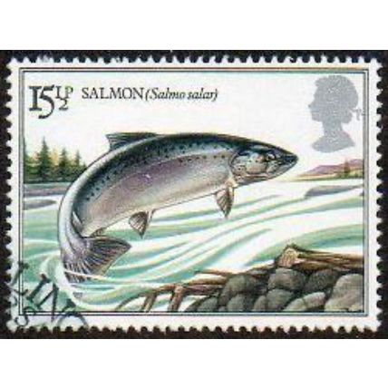 Great Britain 1983 British River Fishes 15½p Atlantic Salmon Used SG 1207 stamp