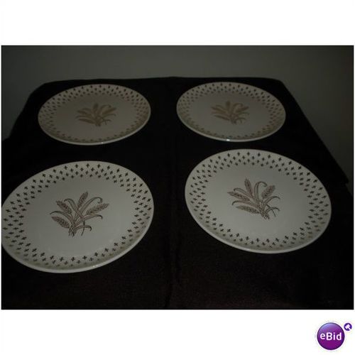 USA Luncheon Plates