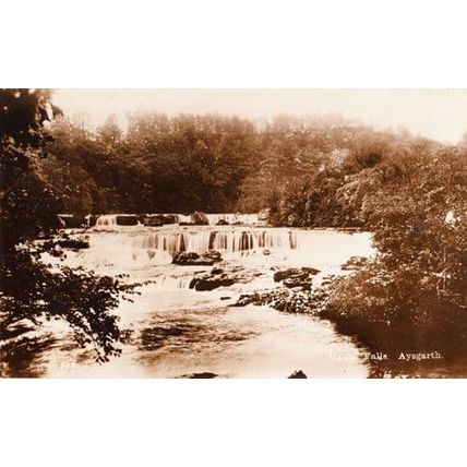Aysgarth Upper Falls Yorkshire Antique Real Photo Postcard