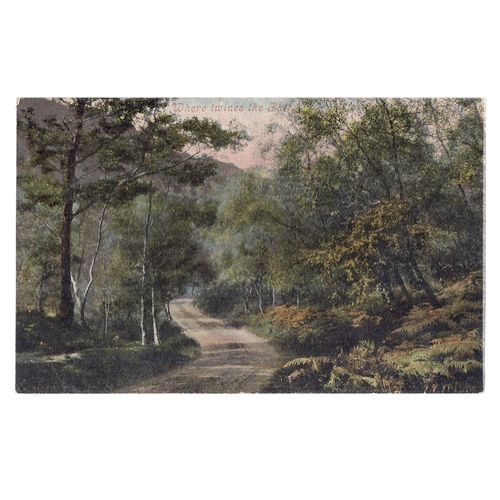 WHERE TWINES THE PATH, TROSSACHS, SCOTLAND early unused postcard, valentine's #