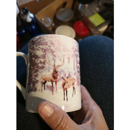 Mug Deer In Snow