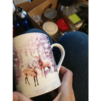 Mug Deer In Snow