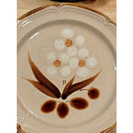 The Classics Hearthside Castlewood Salad Plates 4 Stoneware Hand Painted Flaw