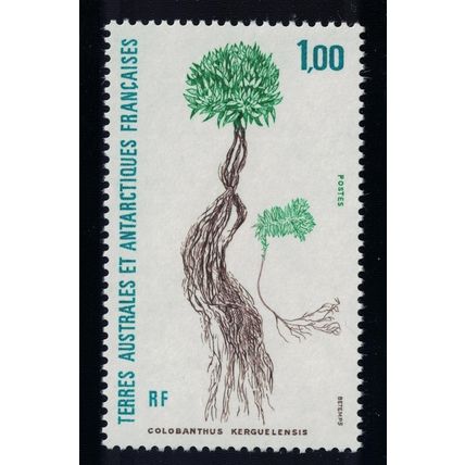 FSAT TAAF Polar Flora 'Colobanthus kerensis' 1992 MNH SG#295 MI#287