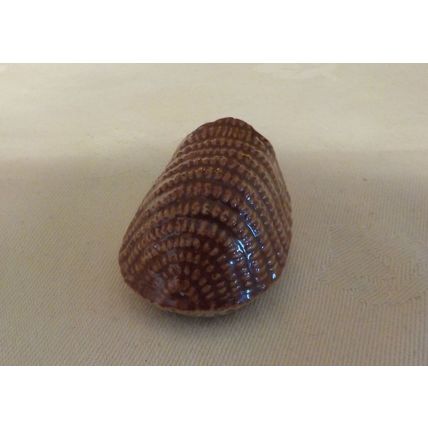 Vintage Wade Whimsey Hedgehog - 1971