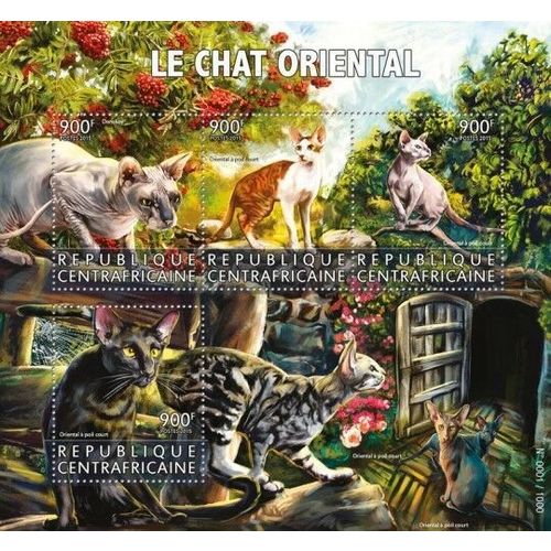 CENTRAL AFRICA 2015 SHEET MNH CHATS ORIENTAL CATS KATZEN GATOS GATTI 5