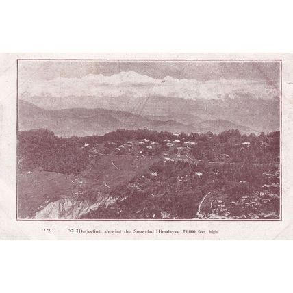Darjeeling Shewing the Snowclad Himalayas Indian Antique Postcard