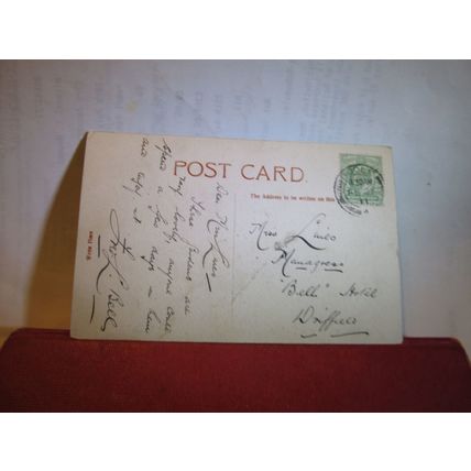 PALM AVENUE, BOTANICAL GARDENS, CALCUTTA, INDIA. used antique postcard 1911 pm =
