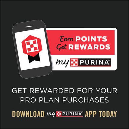 Purina Pro Plan High Protein Puppy Food Shredded Blend Chicken & Rice Formula -