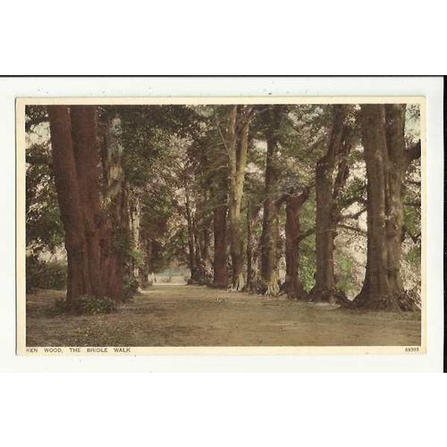 LONDON Ken Wood Bridle Walk Postcard by Photochrom (69393)