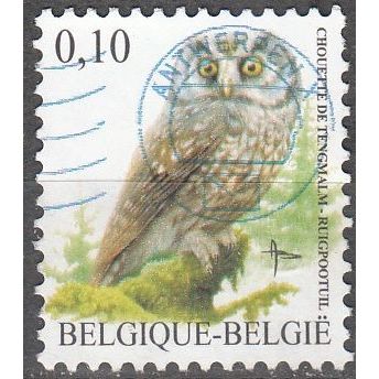 Belgique 2007 Michel 3674 O Cote (2008) 0.30 € Chouette de Tengmalm Cachet rond