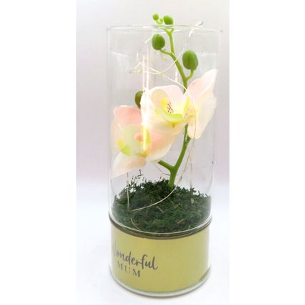 Wonderful Mum LED Tube Light with Faux Pink Flowers Glass LED 20 CM Gift Home