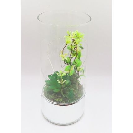 Terrarium with Faux Plants Tube LED Lights Glass LED 20 CM Gift Home Decor